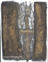 Zeichnung2